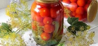 9 besten Rezepte zum Einlegen von Tomaten mit Knoblauch für den Winter in Gläsern