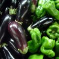 Ist es möglich, Auberginen und Paprika im selben Gewächshaus oder auf offenem Feld zu pflanzen?