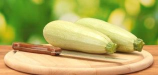 As 4 melhores receitas para preparar em branco de abobrinha para pãezinhos de inverno