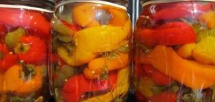 TOP 4-recept för att göra paprika för vintern