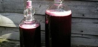 TOP 6 recipes for making wine from grape juice and how to make it at home
