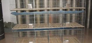 Các loại và quy tắc tự làm lồng lưới cho thỏ