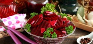 TOP 10-recept för att laga mat surkål för vintern hemma