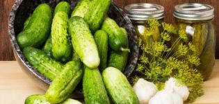 TOP 9 recipes for canned cucumbers without vinegar for the winter