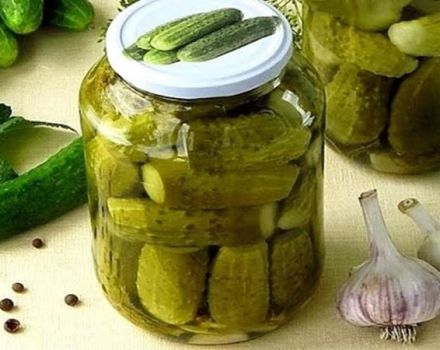 5 מתכוני המלפפון החמוצים הטובים ביותר ללא תוספת סוכר