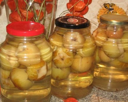 Krok za krokem recept na jablko kompot s kyselinou citronovou na zimu