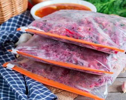 Das Rezept zum Einfrieren von Borschtsch mit Rüben für den Winter