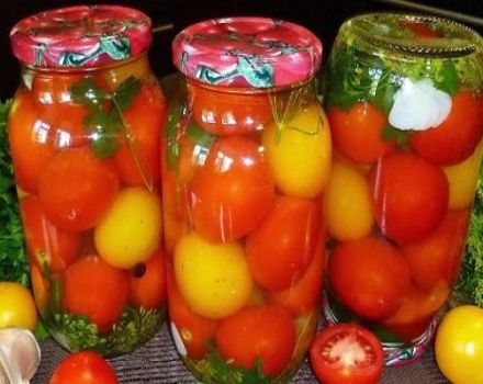 Најбољи рецепти за слани парадајз на врућ начин за зиму