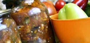 Ricette bakat di melanzane per l'inverno