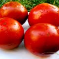 Características e descrição da variedade de tomate Paul Robson