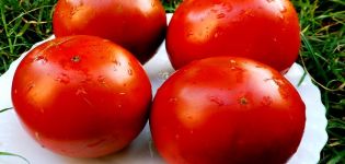 Карактеристике и опис сорте парадајза Паул Робсон