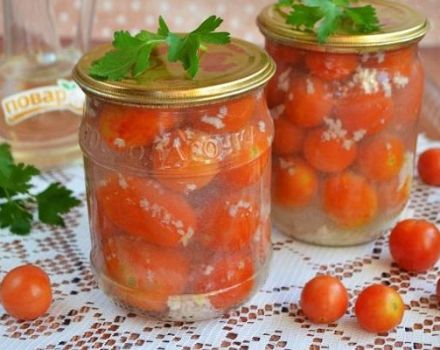 TOP 6 νόστιμες συνταγές για κονσέρβες ντομάτες με σκόρδο για το χειμώνα