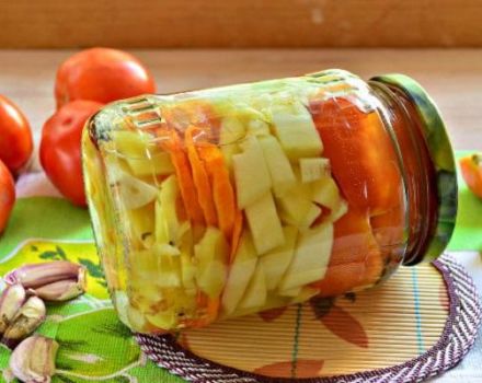 Przepisy na przygotowanie marynowanej cukinii z pomidorami na zimę