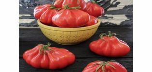 Beschreibung der Tomatensorte Louis 17, Merkmale des Anbaus und der Pflege