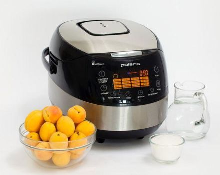 TOP 3 leckere Rezepte für Aprikosenmarmelade in einem Slow Cooker zu Hause