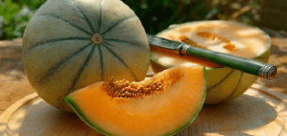 Beskrivning av variationen av melon Cantaloupe (Musk), dess typer och funktioner