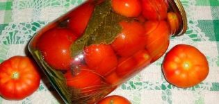 16 recipes for pickling tomatoes without vinegar for the winter