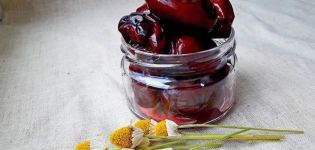 Công thức từng bước cho món ăn nhẹ mận ngâm như ô liu cho mùa đông