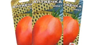 Altayechka pomidorų veislės ir jos savybių aprašymas
