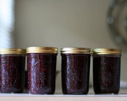 Einfache Rezepte für die Herstellung von Gelee für den Winter aus Blaubeeren