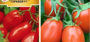 Beschreibung der Tomatensorte Torquay und ihrer Eigenschaften