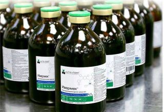 Δοσολογία και οδηγίες χρήσης του Ivermek για πρόβατα, όταν πρέπει να τρυπήσετε
