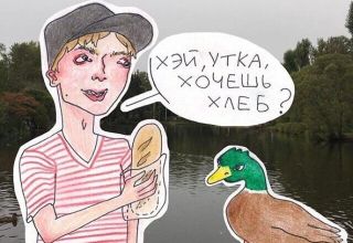 Czy można karmić kaczki chlebem, co jest dozwolone, a czego nie