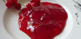 Step-by-step recipe for making black and red currant jam together