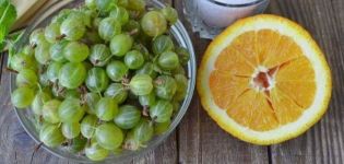 9 besten Schritt-für-Schritt-Rezepte für Stachelbeer-Orangenmarmelade für den Winter