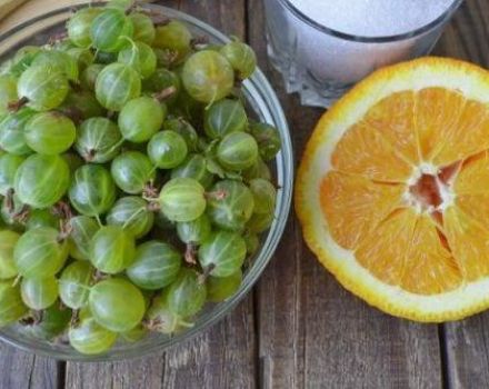 9 melhores receitas passo a passo de geléia de laranja de groselha para o inverno