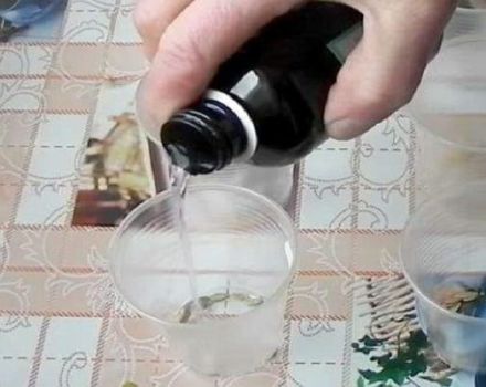 È necessario immergere i semi di cetriolo trattati prima di piantare ed è possibile