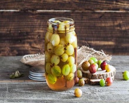 13 công thức nấu ăn ngon nhất để làm món trứng gà trống cho mùa đông