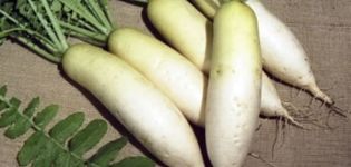 Beskrivelse af sorten daikon Dubinushka, funktioner i dyrkning og pleje