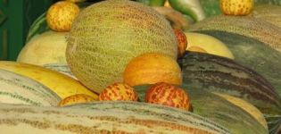Beschreibung der Sorten von Melonen mit Namen, welche Sorten sind
