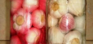 Recipe for step-by-step cooking of pickled garlic in Georgian for the winter