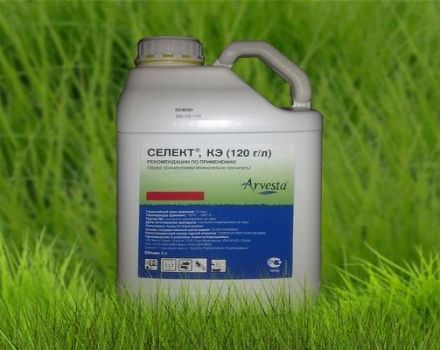 Herbicido naudojimo instrukcijos Išskirkite, sudėtis ir išsiskyrimo forma