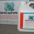 Instructions for the use of herbicide Disulam, mechanism of action and consumption rates