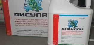 Instructions for the use of herbicide Disulam, mechanism of action and consumption rates