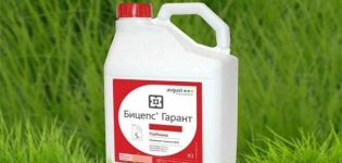 Gebrauchsanweisung des Herbizids Bizeps Garant, Verbrauchsraten und Analoga
