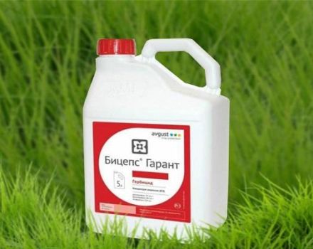 Instruções de uso do herbicida Biceps Garant, taxas de consumo e análogos