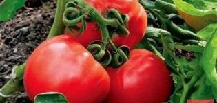 Beschreibung der Igranda-Tomatensorte und ihrer Eigenschaften