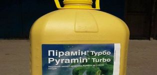 Herbisit Pyramine Turbo kullanımı için talimatlar, çalışma solüsyonunun nasıl hazırlanacağı