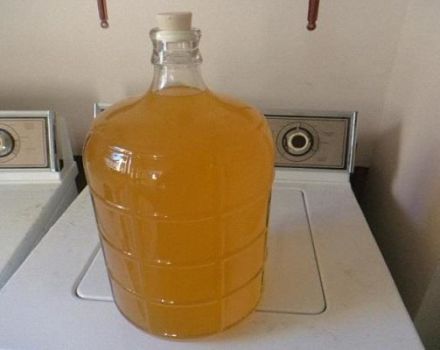 9 enkla recept för att göra havtornsvin hemma