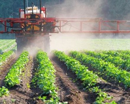 Instruktioner för användning och spektrum av verkan av herbicider, sorter och beskrivning av de bästa