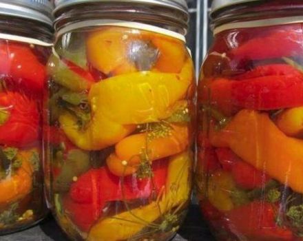 The best step-by-step recipe for pickled whole peppers for the winter
