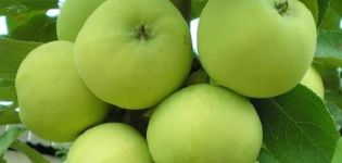 Characteristics and description of the Narodnoe apple variety, recommended growing regions and gardeners' reviews