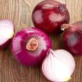 Care and cultivation of purple and red onions, benefits and harms, when to harvest and how to store