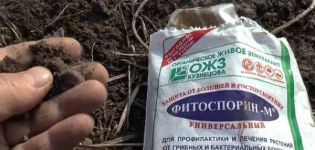 Упутство за употребу ђубрива Фитоспорин у башти