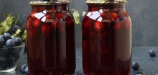 TOP 7 Rezepte für die Zubereitung von Dornenkompott mit Samen für den Winter