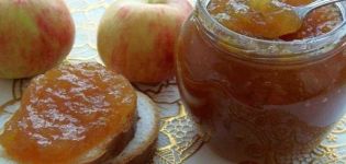 Ein Schritt-für-Schritt-Rezept für die Zubereitung von Apfelmarmelade mit Zimt für den Winter